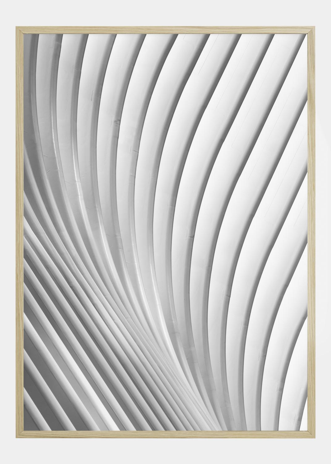 Product Image for Calatrava Lines Poster (30x40 cm)
