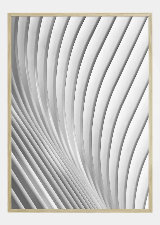 Calatrava Lines Poster