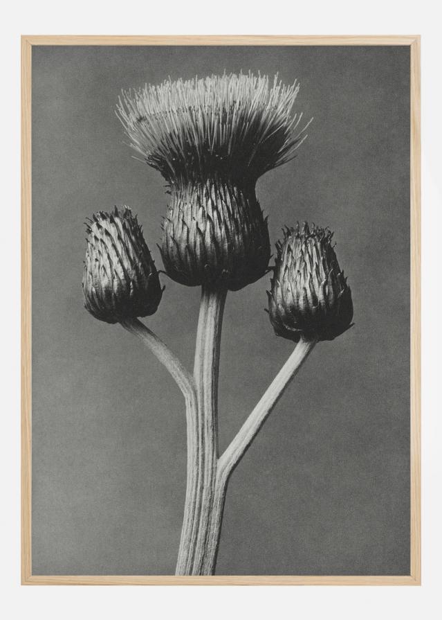 Grey Flower I Poster