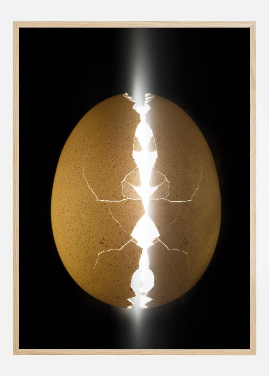 Product Image for Alien egg Poster (21x29,7 cm (A4))