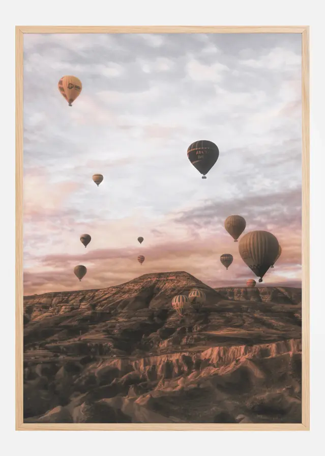 Cappodocia Hot Air Balloon Poster