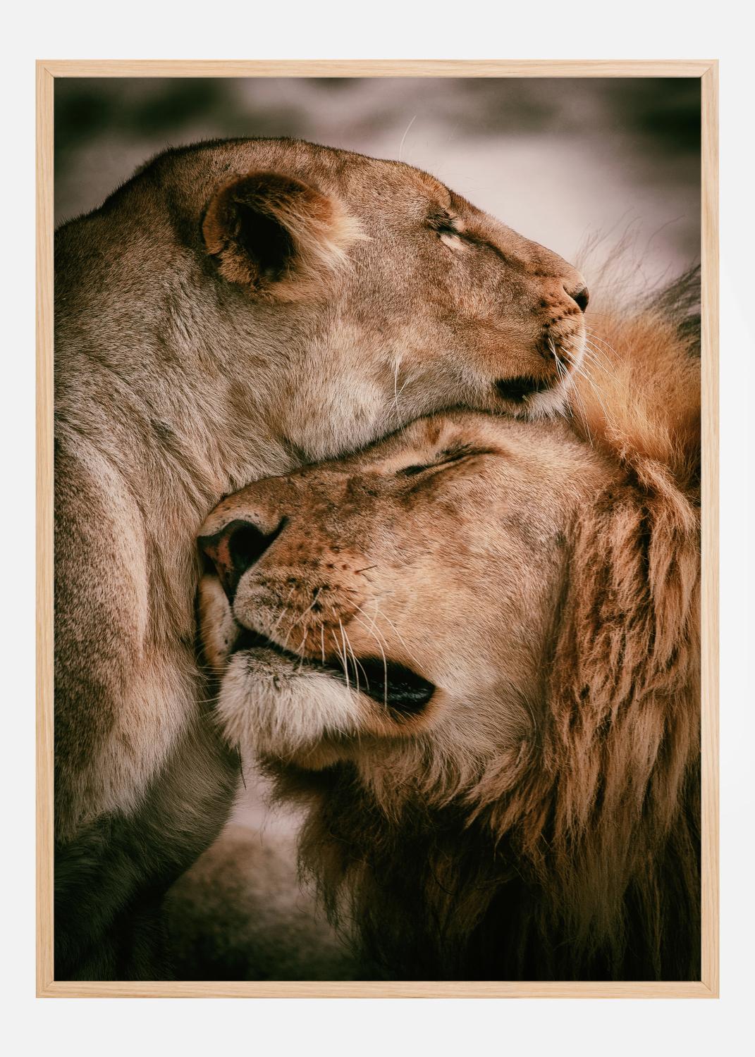 Product Image for What Is Love Poster (70x100 cm)
