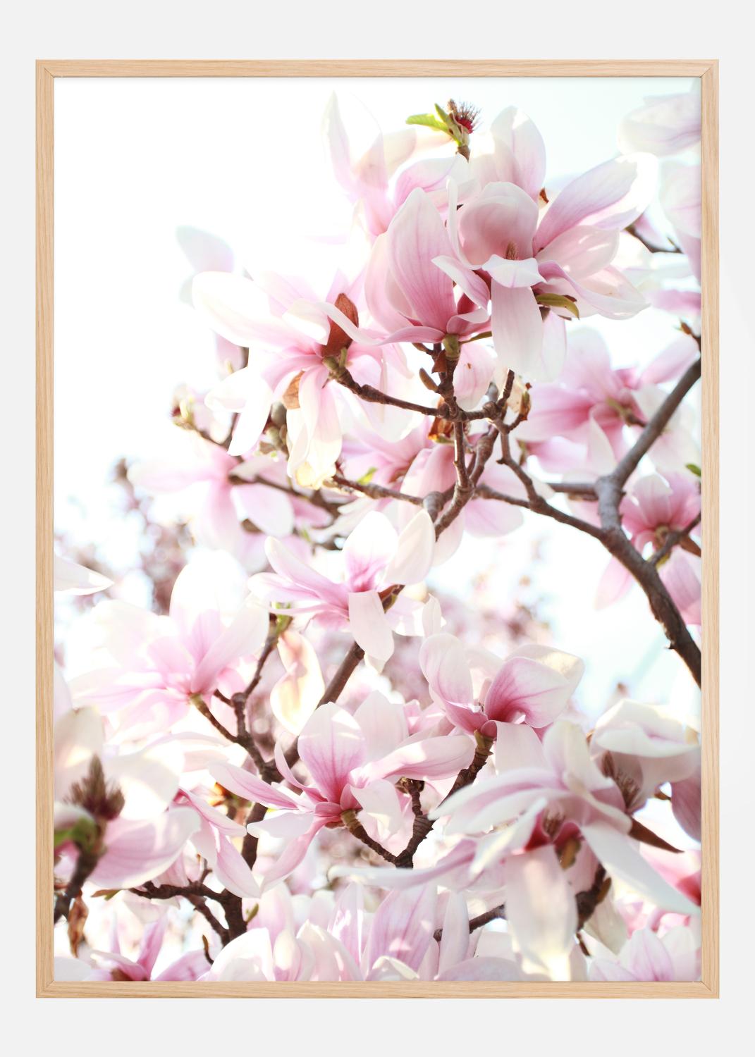 Product Image for Cherry Trees Poster (21x29.7 cm (A4))