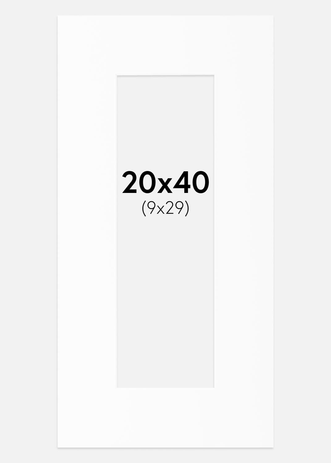 Product Image for Passe-partout Blanc Standard (noyau blanc) 20x40 cm (9x29)