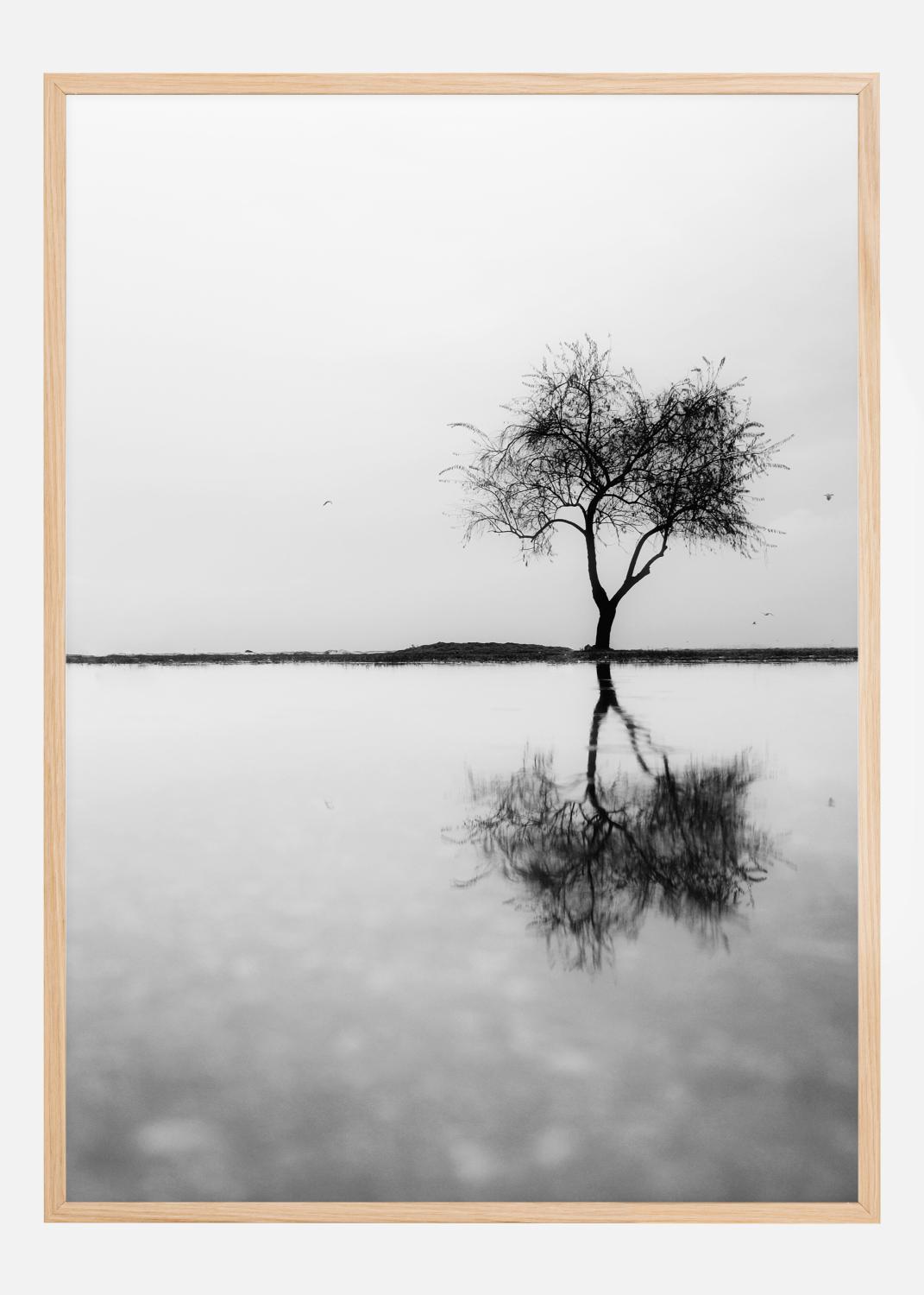 Product Image for Lonely Tree Reflection Poster (21x29,7 cm (A4))