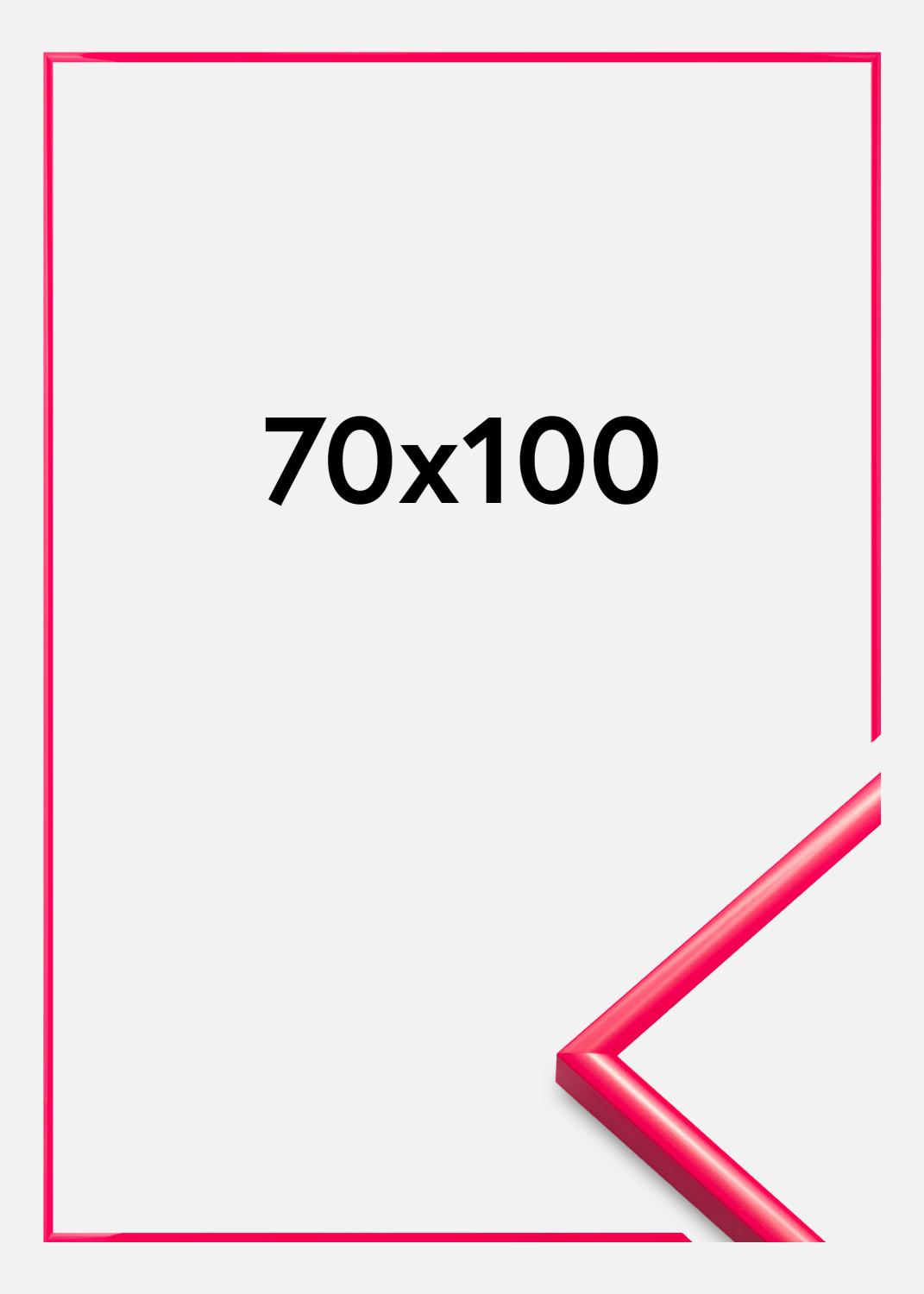 Product Image for Cadre New Lifestyle Verre Acrylique Hot Pink 70x100 cm