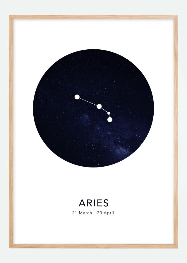 Aries Poster