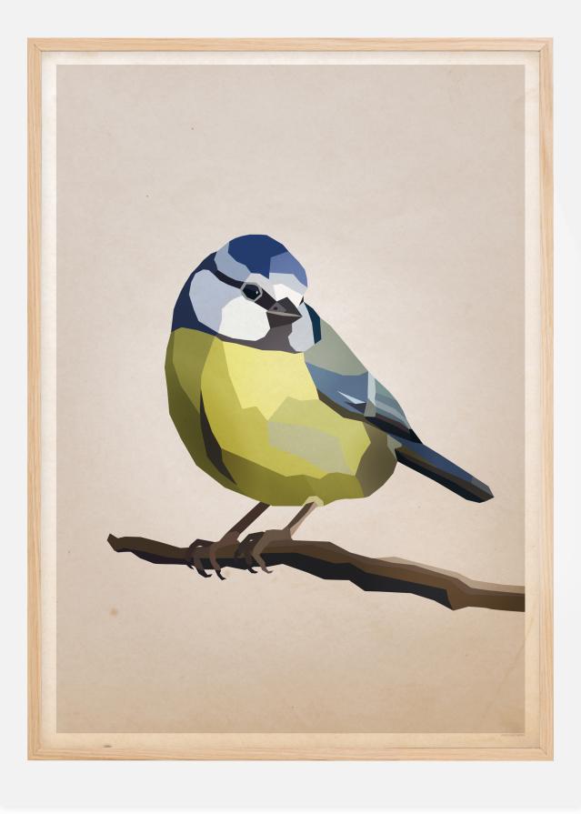 Blue tit Poster