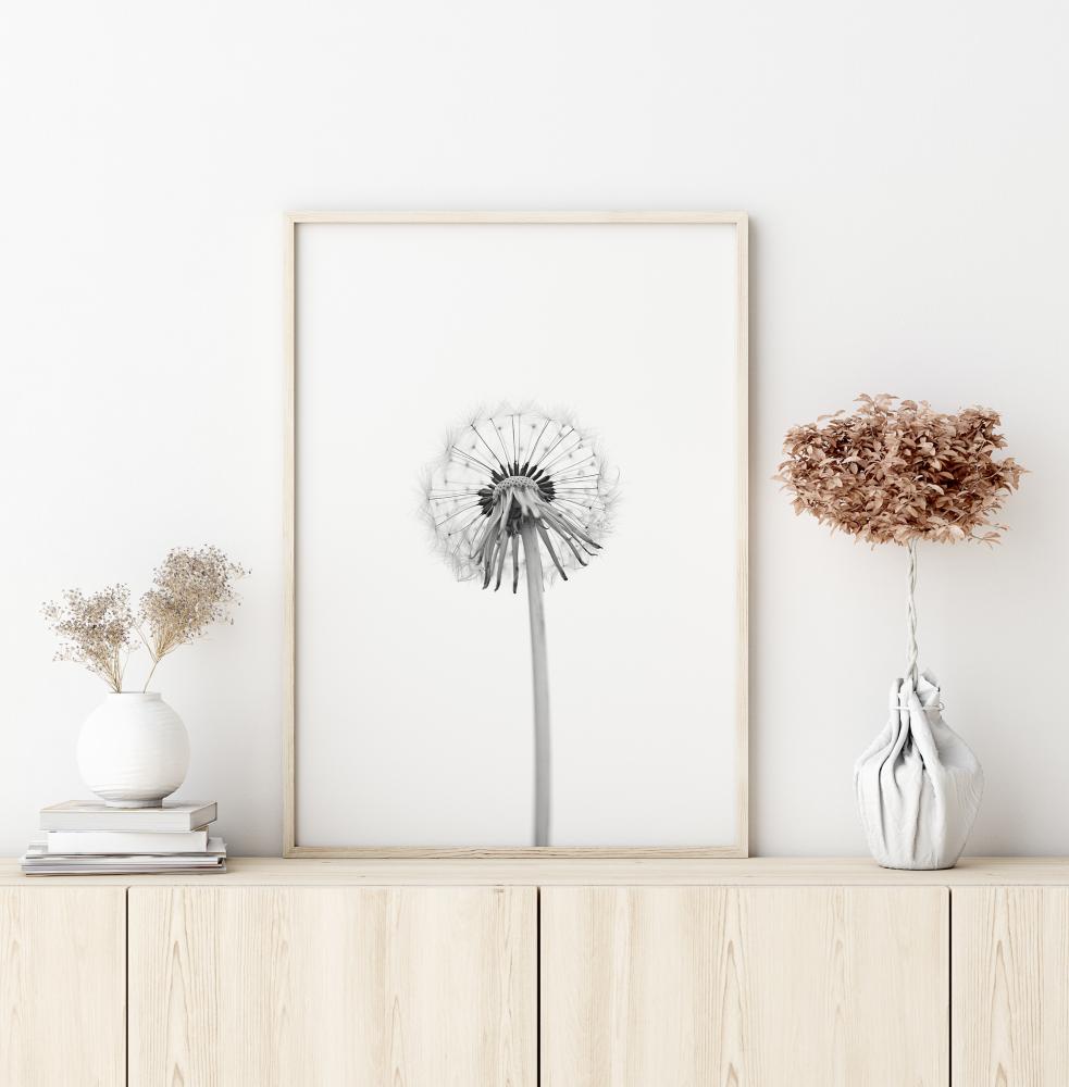 Dandelion Poster