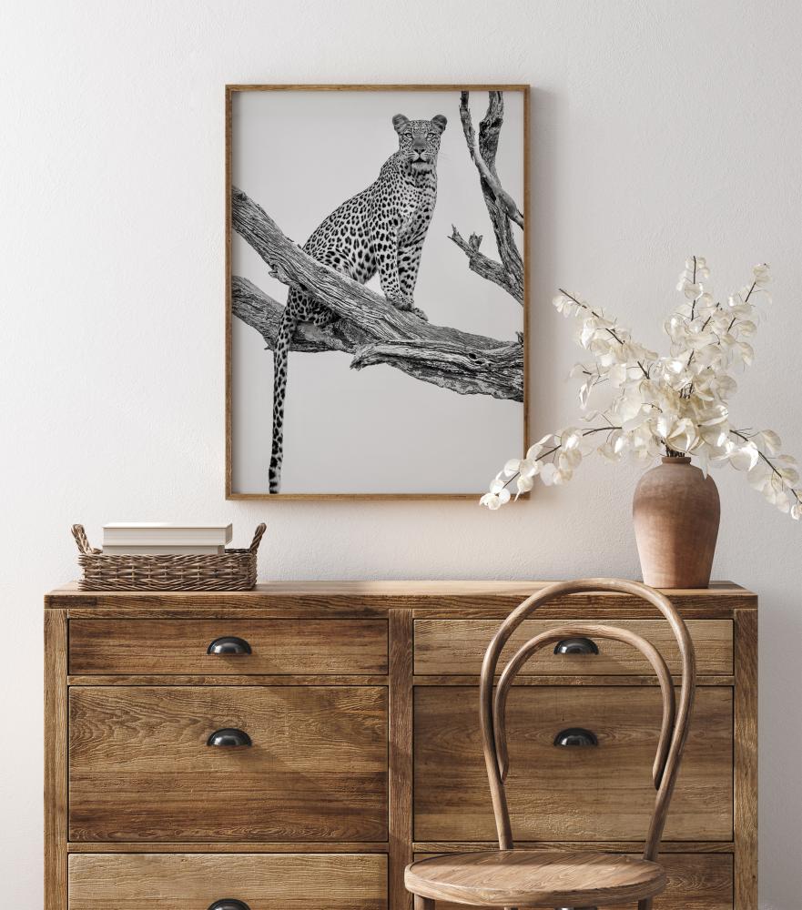 Leopard Portrait Poster