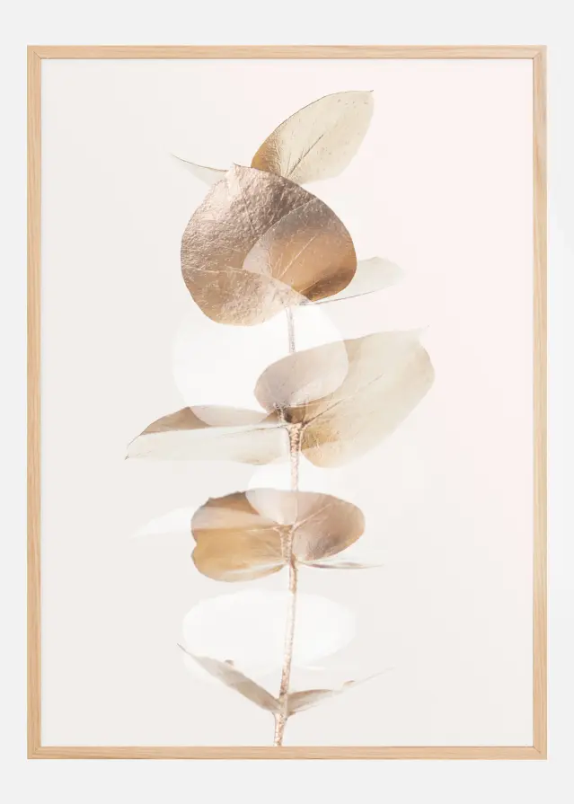 Eucalyptus Creative Gold III Poster