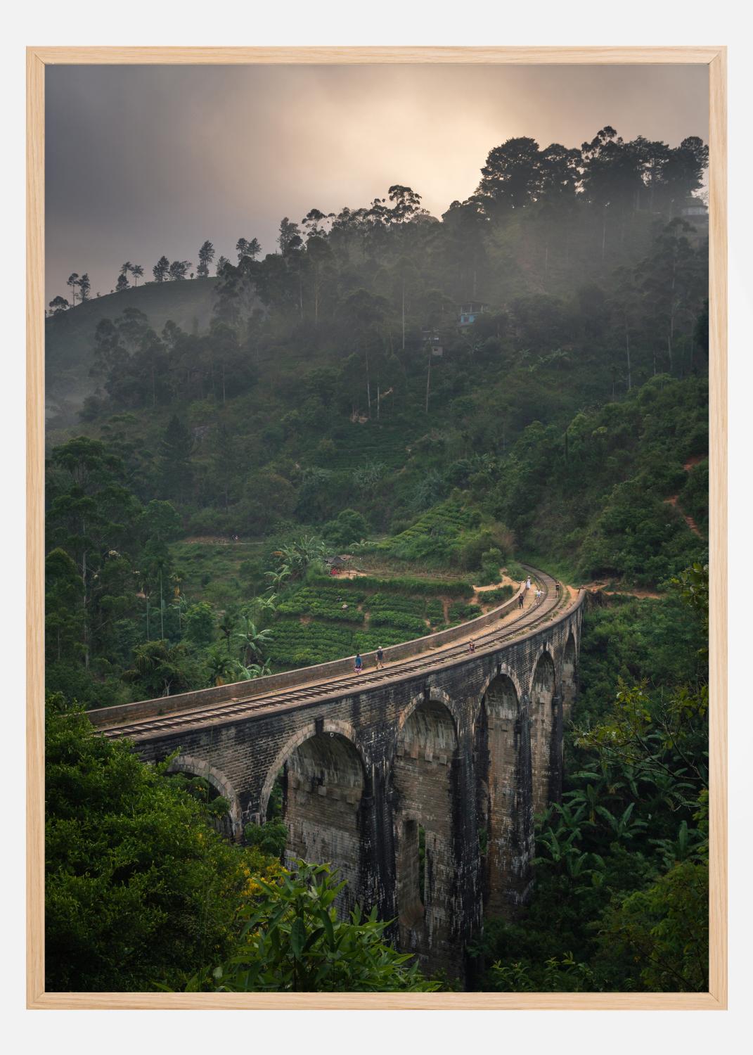 Product Image for Jungle train rails Poster (21x29,7 cm (A4))