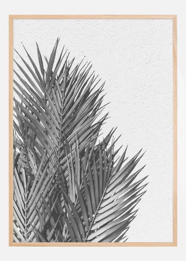 Palm Leaves Poster