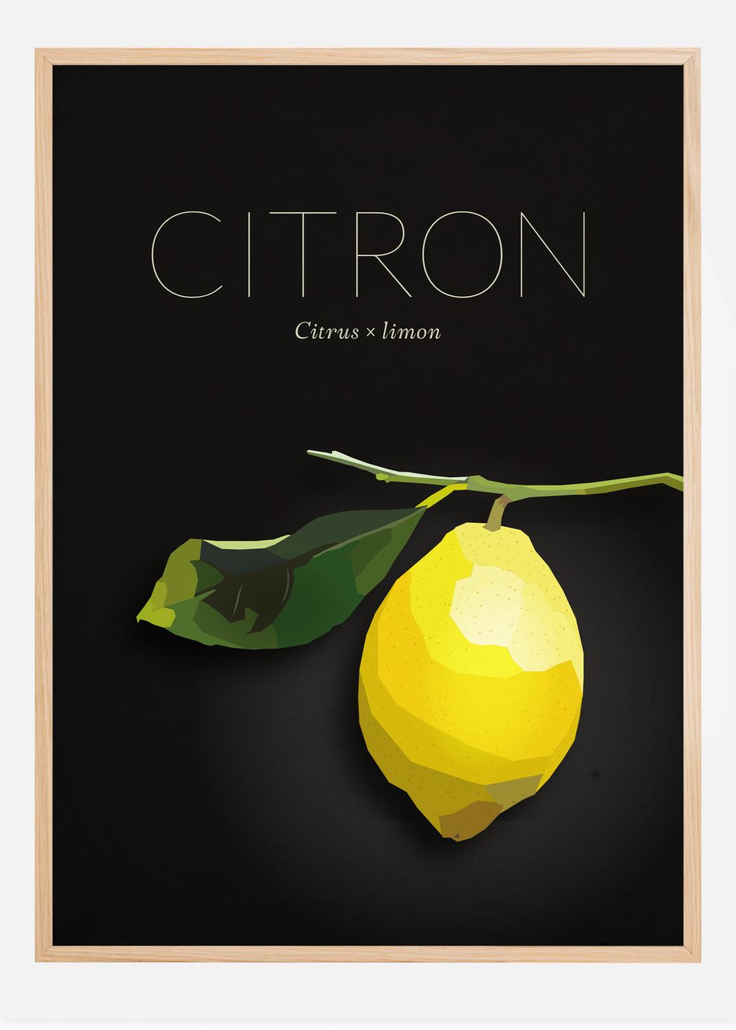 Product Image for Citron Poster (21x29,7 cm (A4))