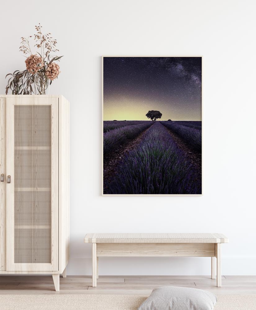 Lavender Fields Poster