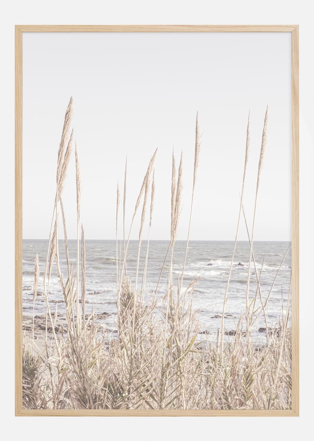 Product Image for Beach Vass 001 Poster (21x29.7 cm (A4))