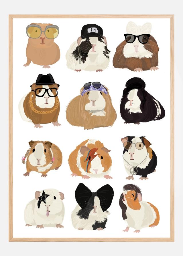 Music Guineapig Poster