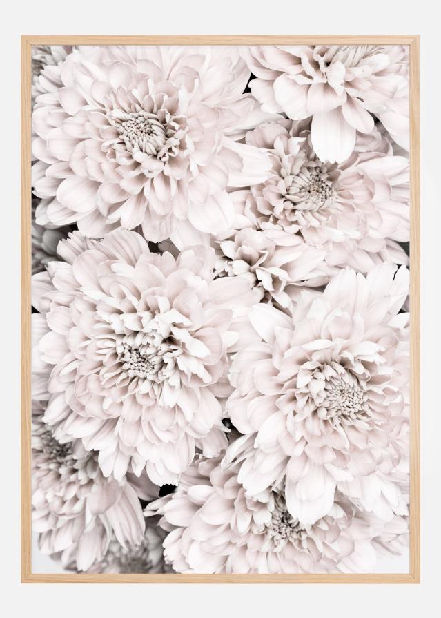 Chrysanthemum II Poster