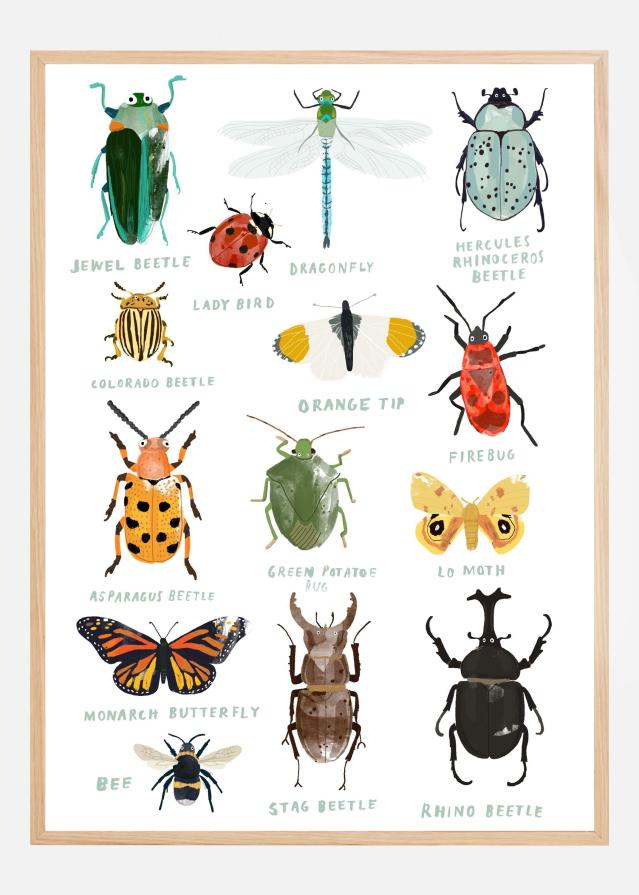 Bugs Poster