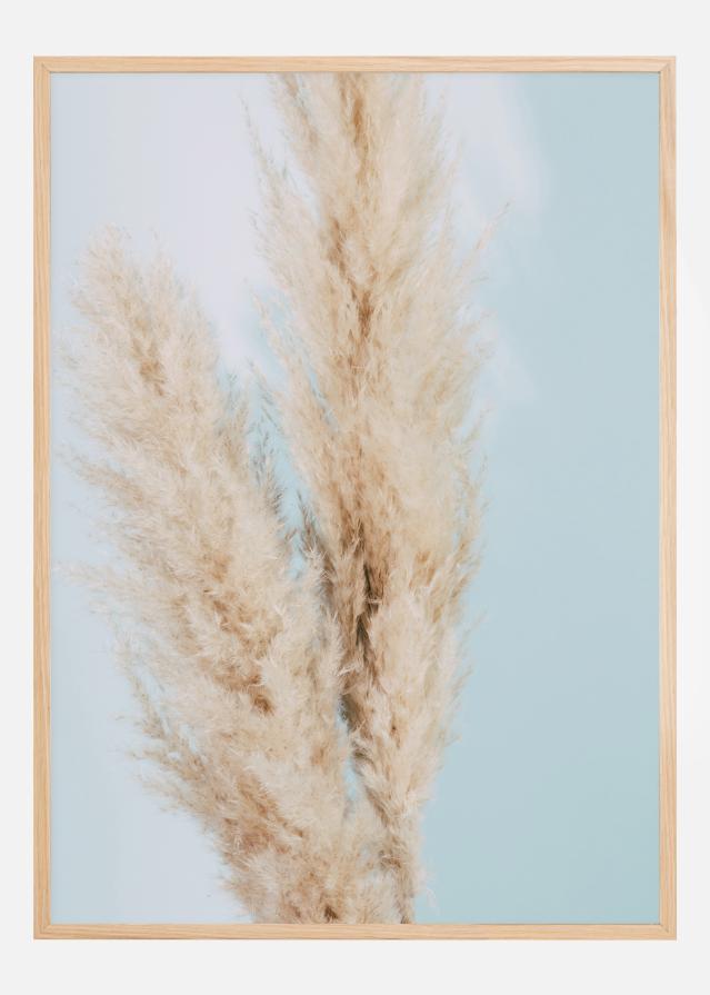 Pampas Grass Blue Poster