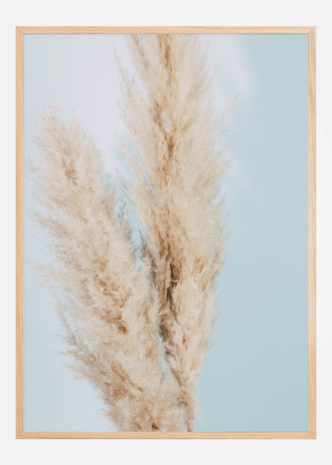 Product Image for Pampas Grass Blue Poster (50x70 cm)