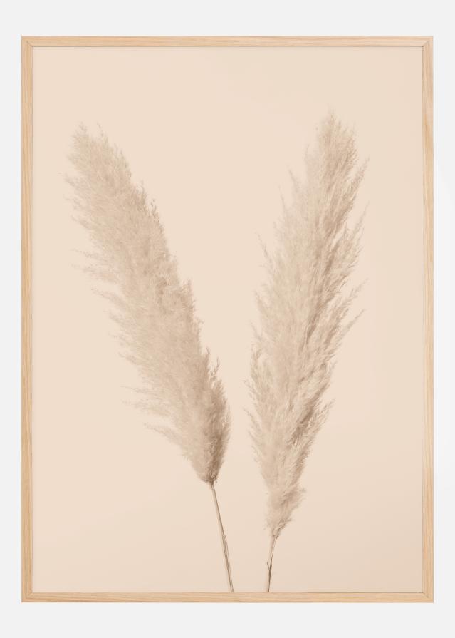 Pampas Grass I Poster