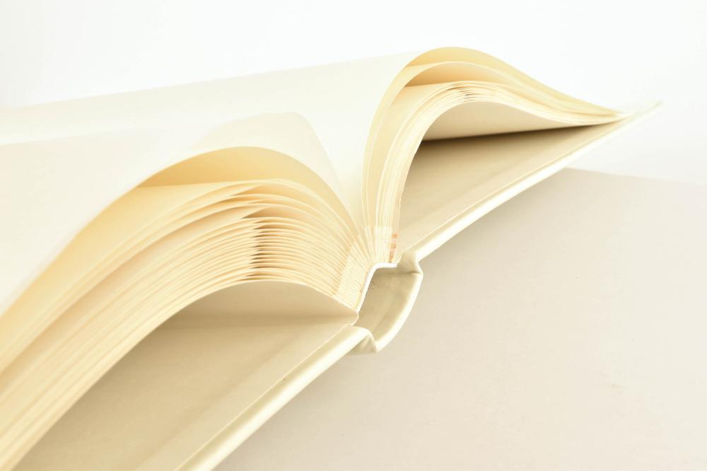 Premium Album bébé - 25x25 cm (50 pages blanches / 25 feuilles)
