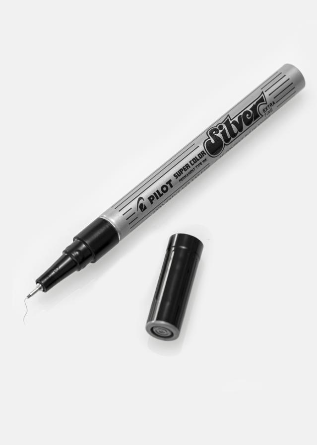 Pilot Stylo pour album Argent