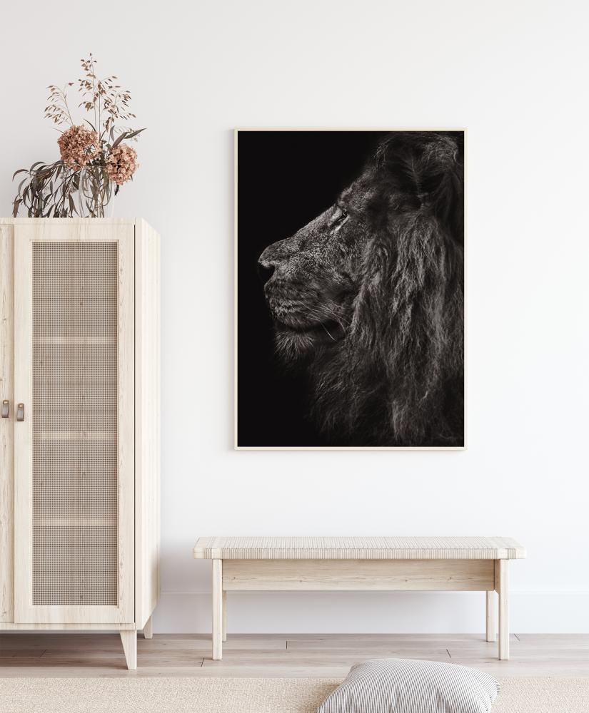 Lion In Profile Poster