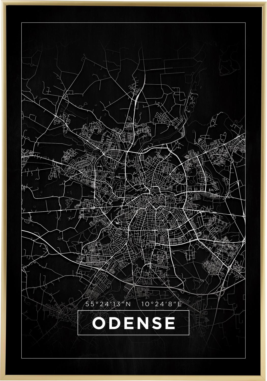 Product Image for Map - Odense - Black (21x29,7 cm (A4))
