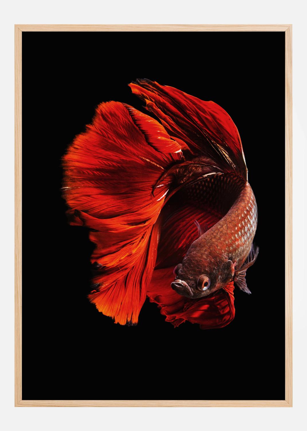 Product Image for The Red Poster (21x29,7 cm (A4))