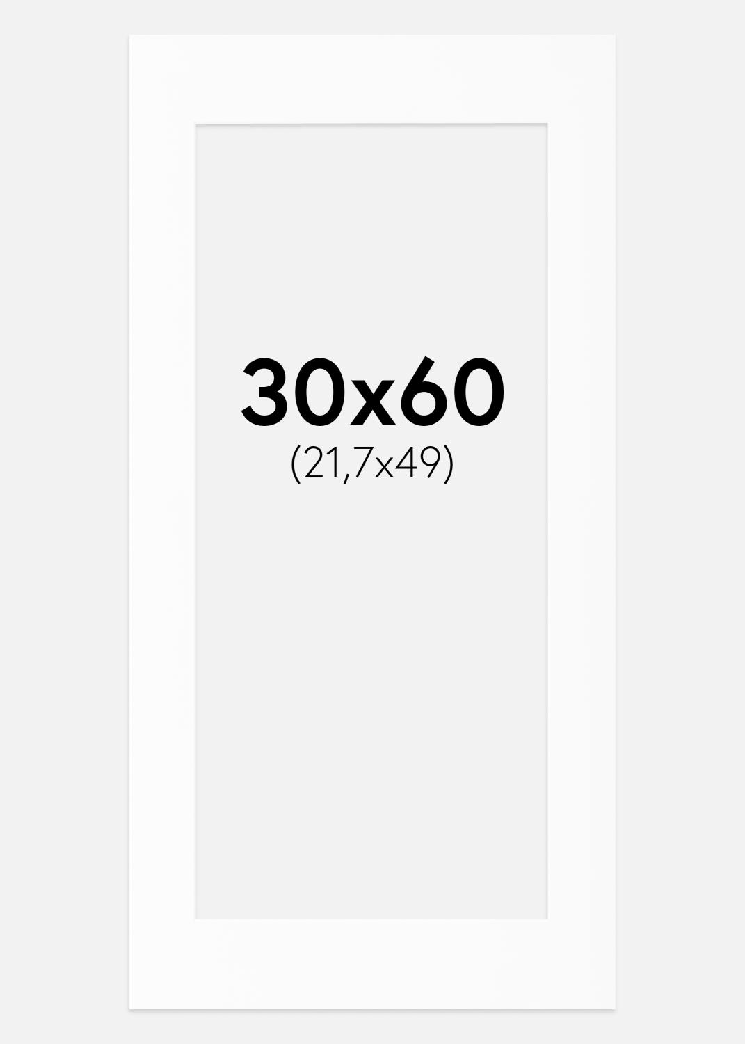 Product Image for Passe-partout Blanc Standard (noyau blanc) 30x60 cm (21,7x49)