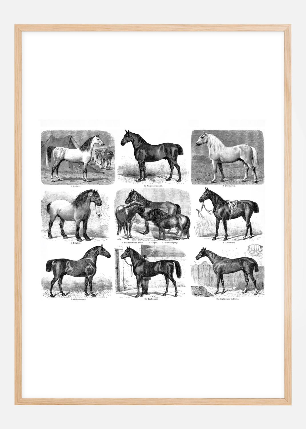 Product Image for Races de chevaux Poster (70x100 cm)