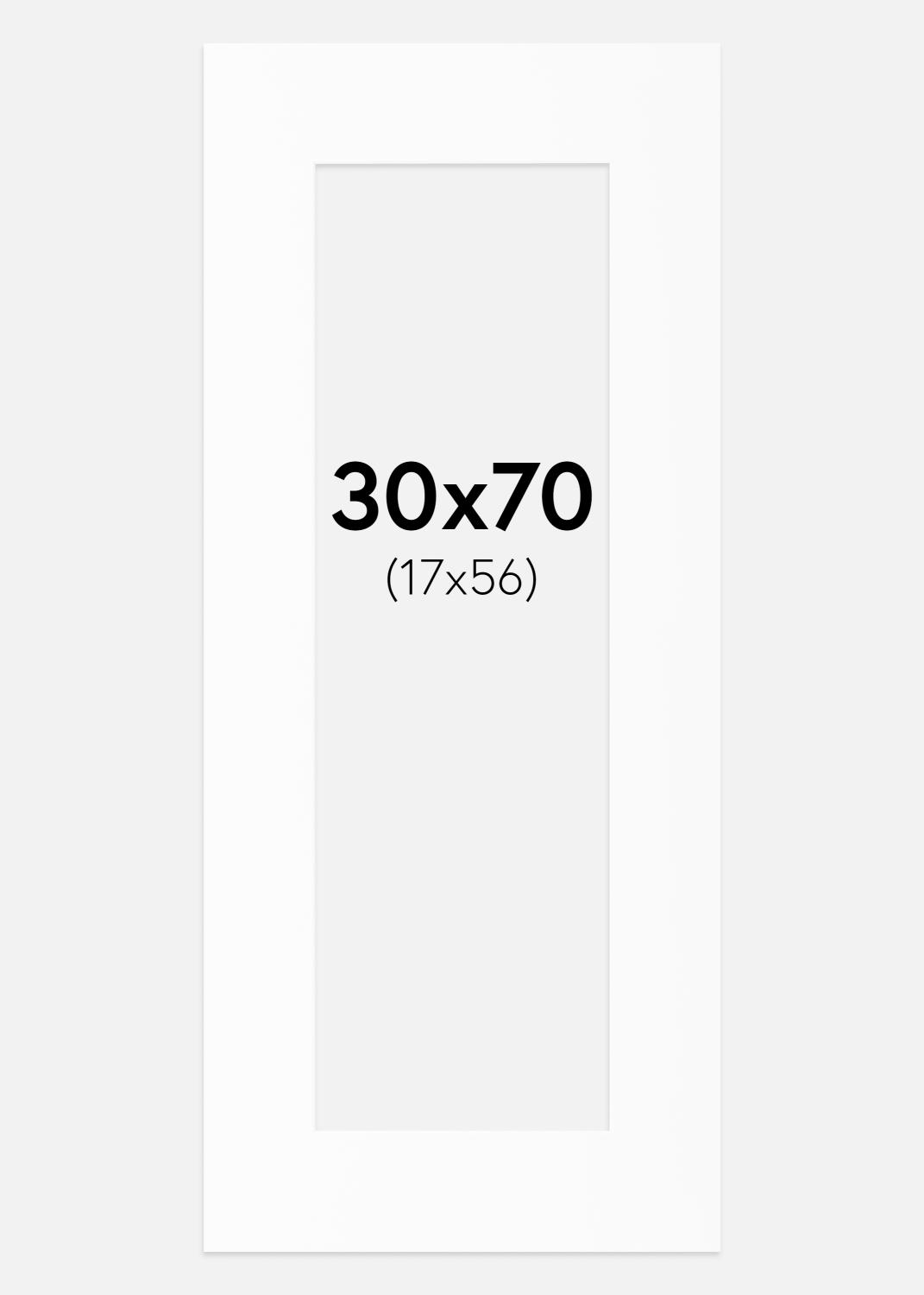 Product Image for Passe-partout Blanc Standard (noyau blanc) 30x70 cm (17x56)