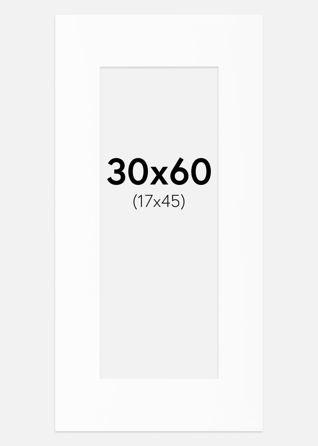 Product Image for Passe-partout Blanc Standard (noyau blanc) 30x60 cm (17x45)
