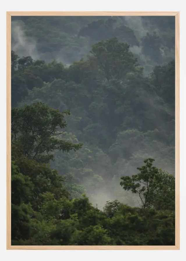 Rainforest Poster