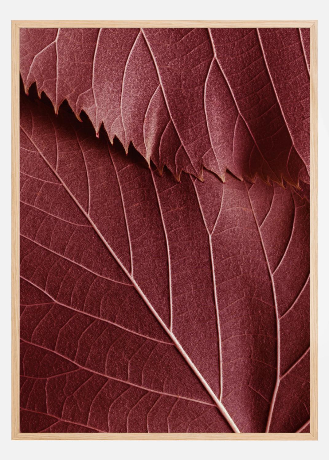 Product Image for Red Leaves Poster (21x29,7 cm (A4))