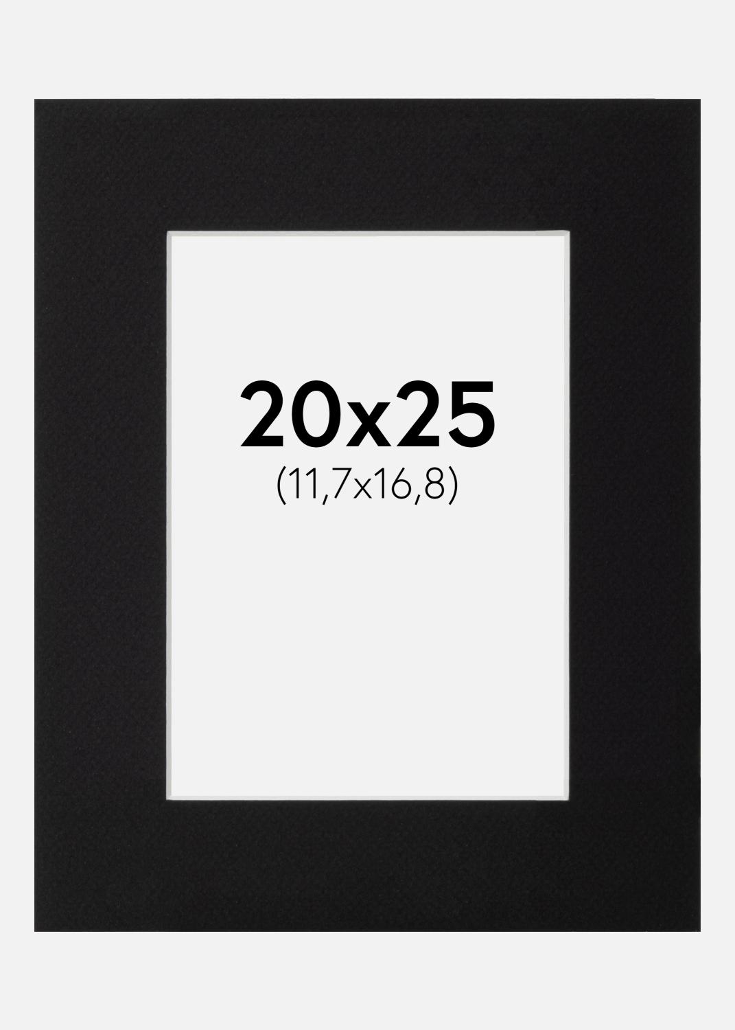 Product Image for Passe-partout Noir Standard (noyau blanc) 20x25 cm (11,7x16,8)