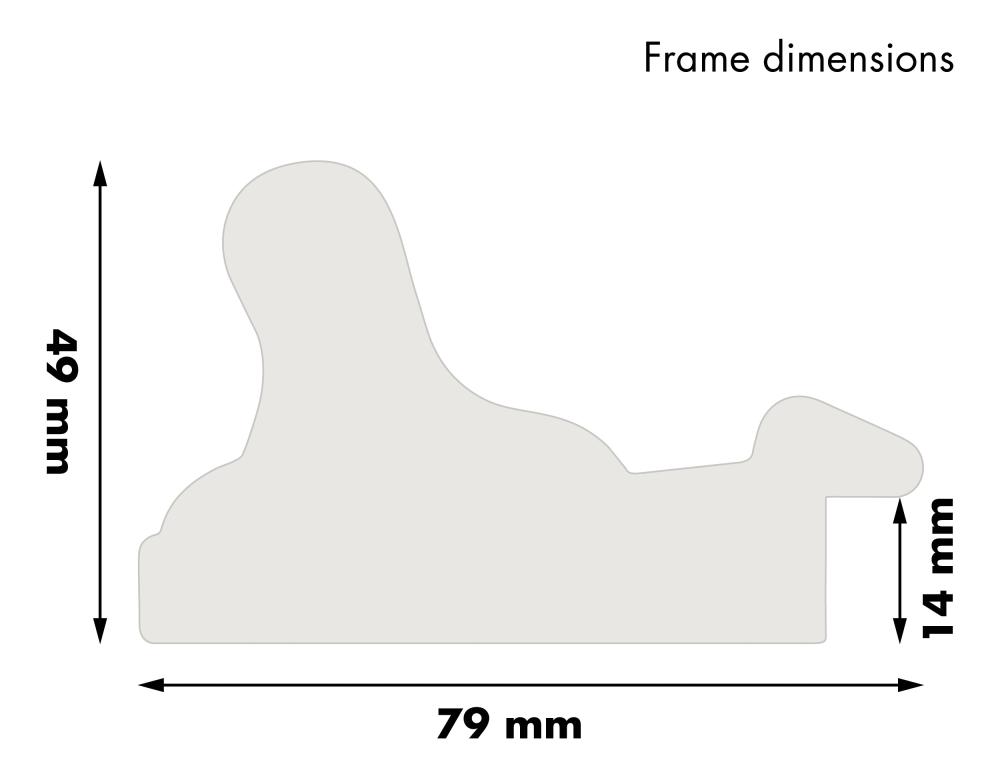 Cadre Gysinge Premium Argent 59,4x84 cm (A1)