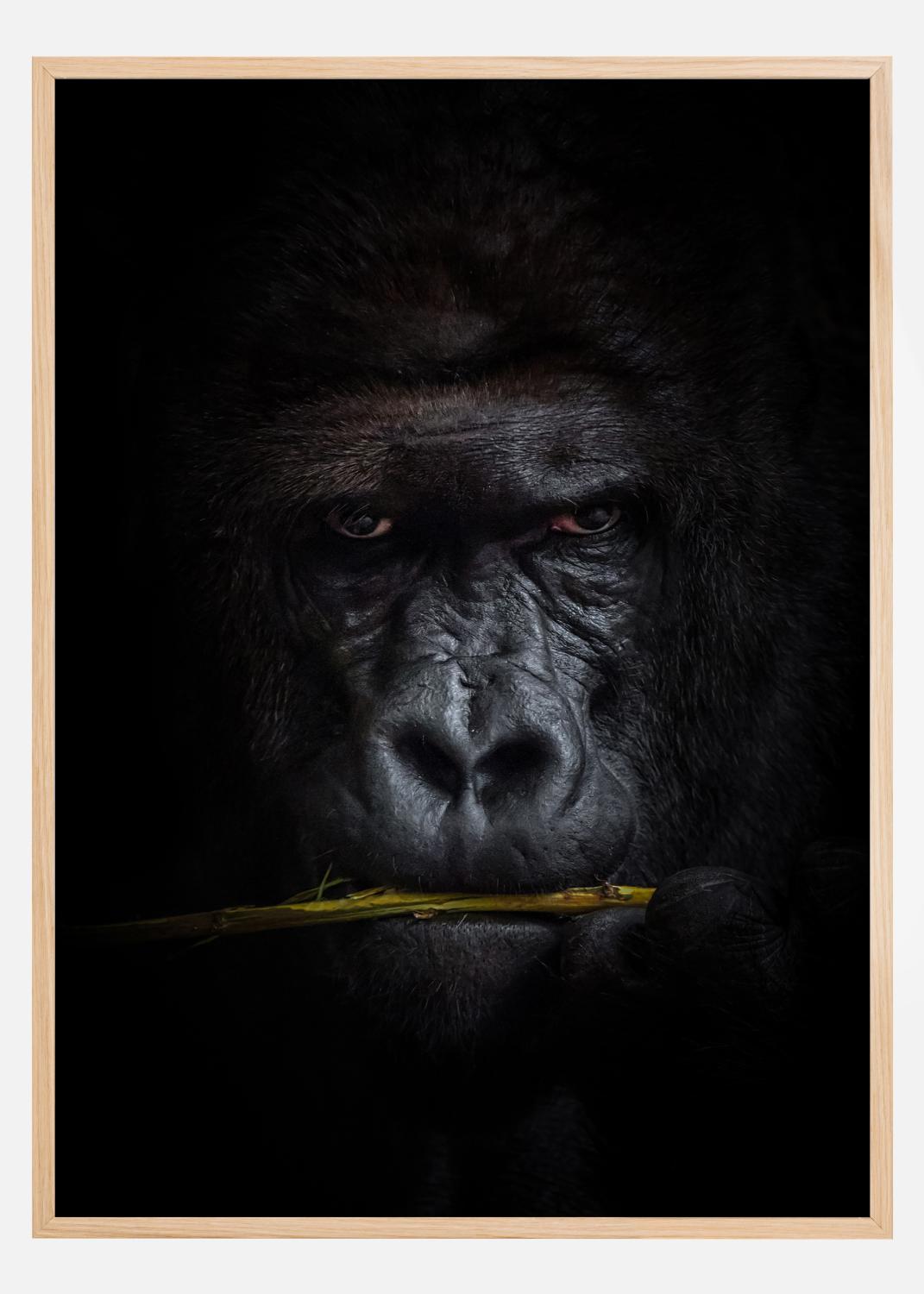 Product Image for Mysterious gorilla Poster (21x29,7 cm (A4))