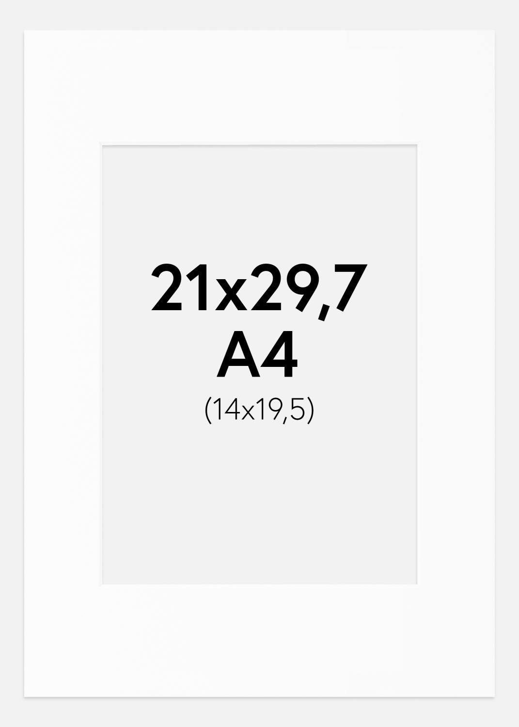 Product Image for Passe-partout Blanc Standard (noyau blanc) A4 21x29,7 cm (14x19,5)