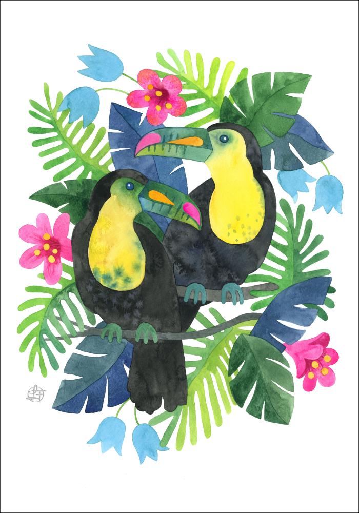 Tucan Poster