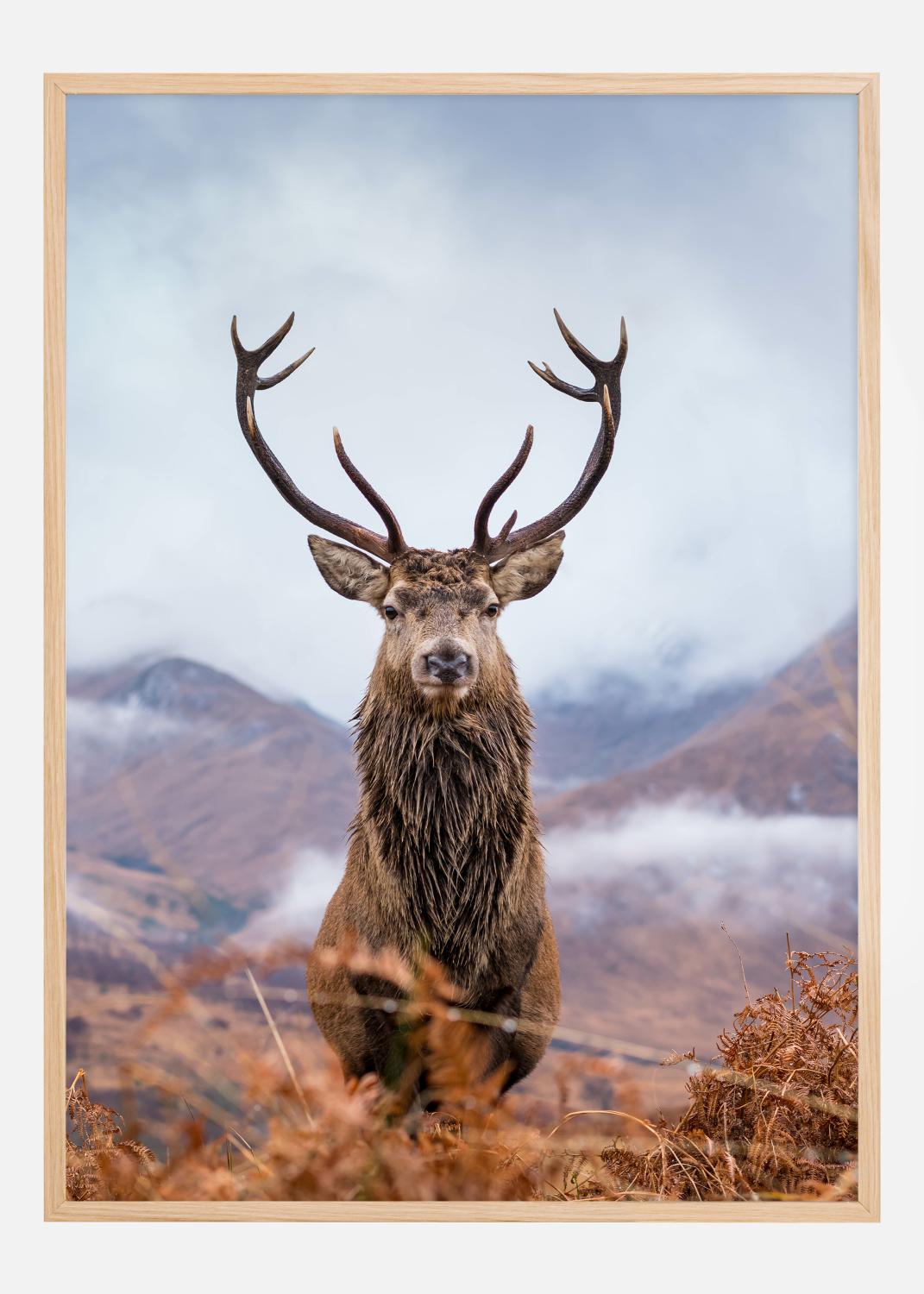 Product Image for Red deer in the mountains Poster (21x29.7 cm (A4))