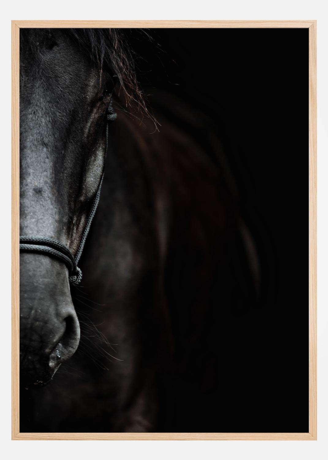 Product Image for Dark Horse Poster (21x29,7 cm (A4))