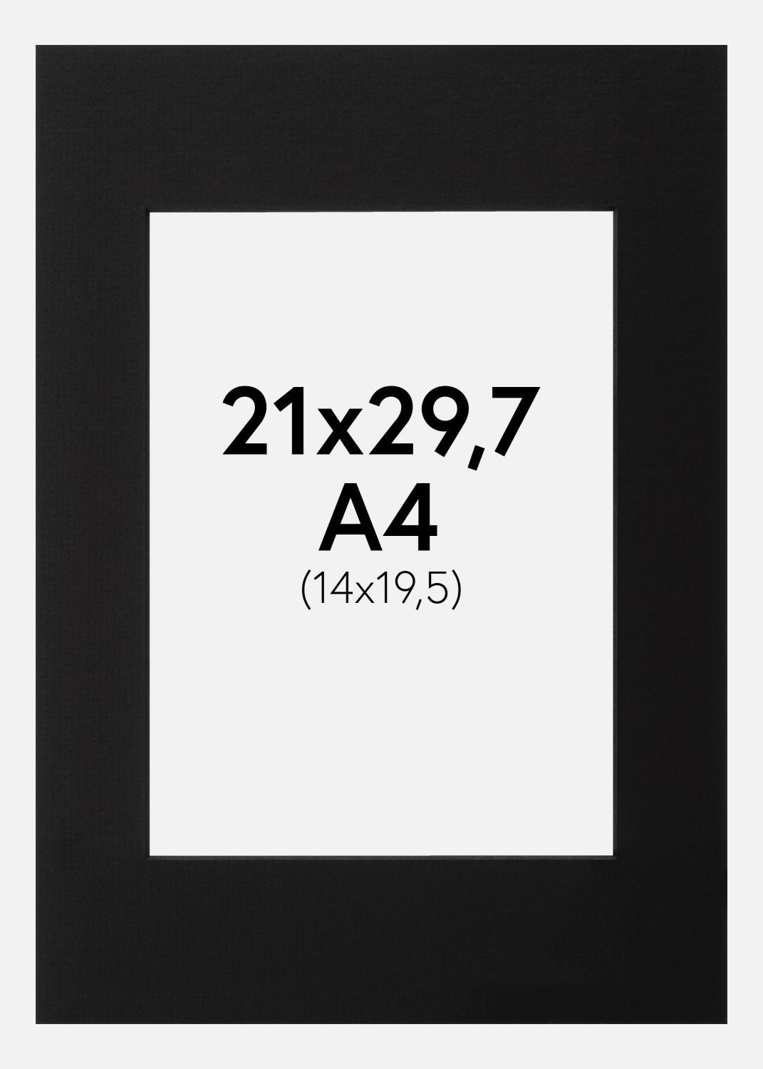 Product Image for Passe-partout Noir (noyau noir) A4 21x29,7 cm (14x19,5)