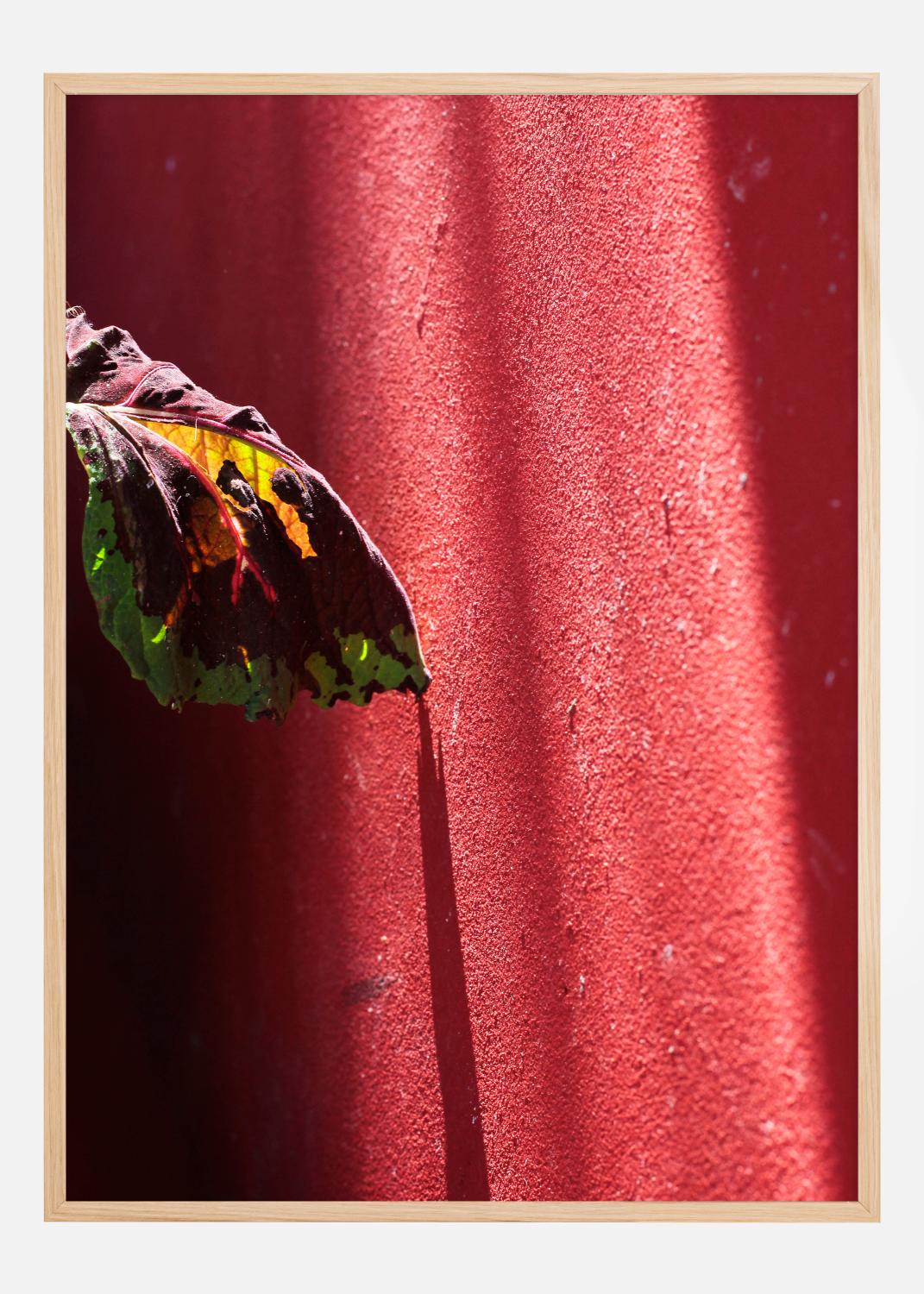 Product Image for Red wall Poster (21x29.7 cm (A4))