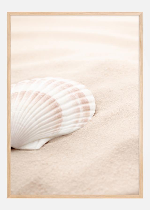 Shell Poster