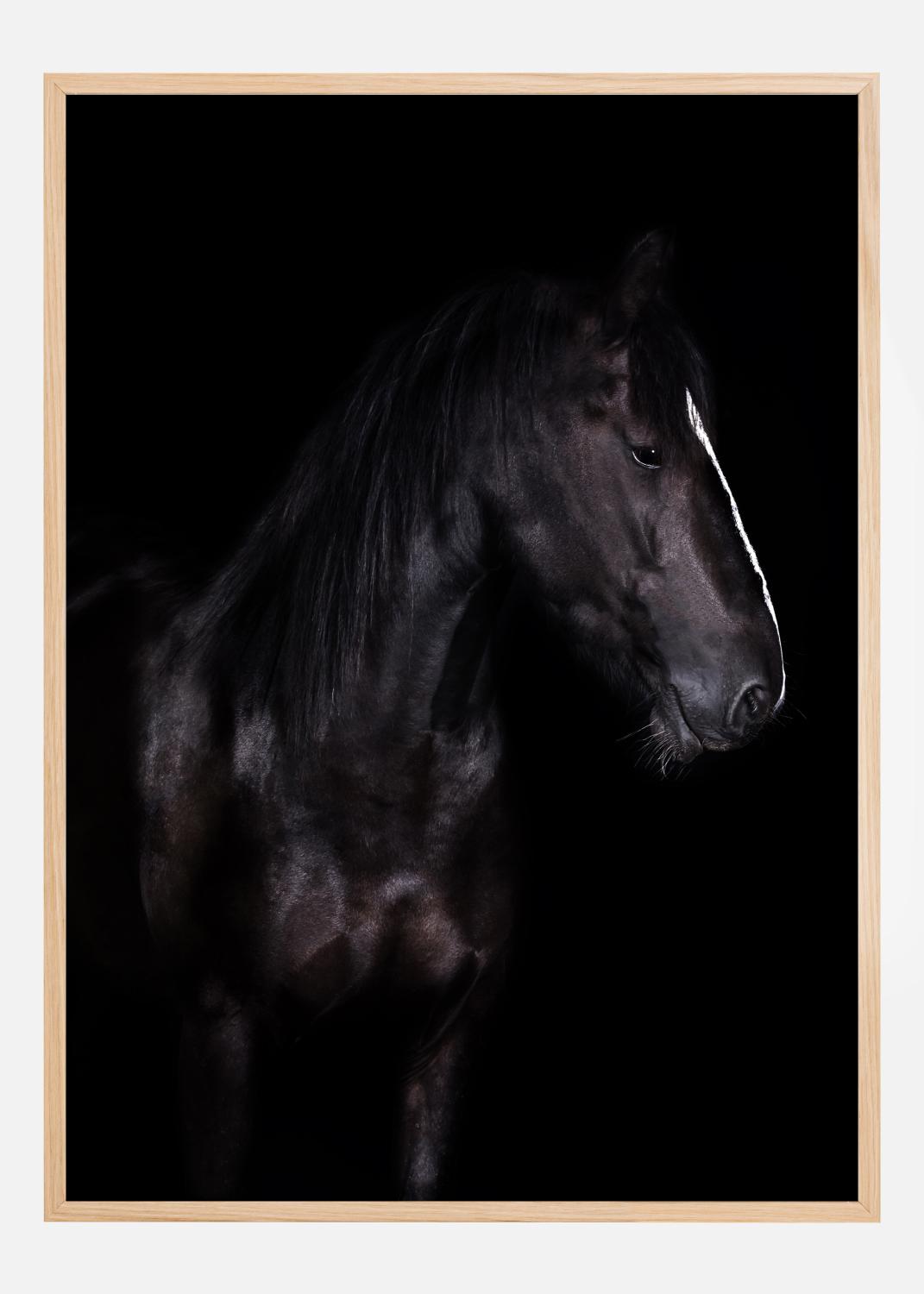 Product Image for Erika Poster (21x29,7 cm (A4))