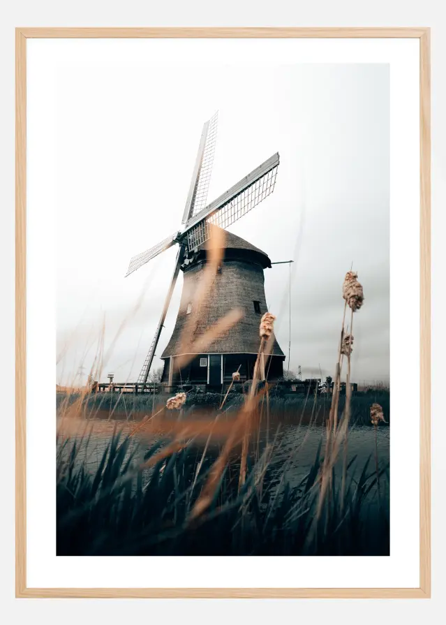 Dutch Windmill Poster