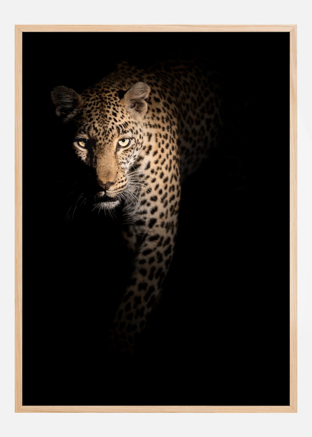 Product Image for Out of the darkness Poster (21x29,7 cm (A4))